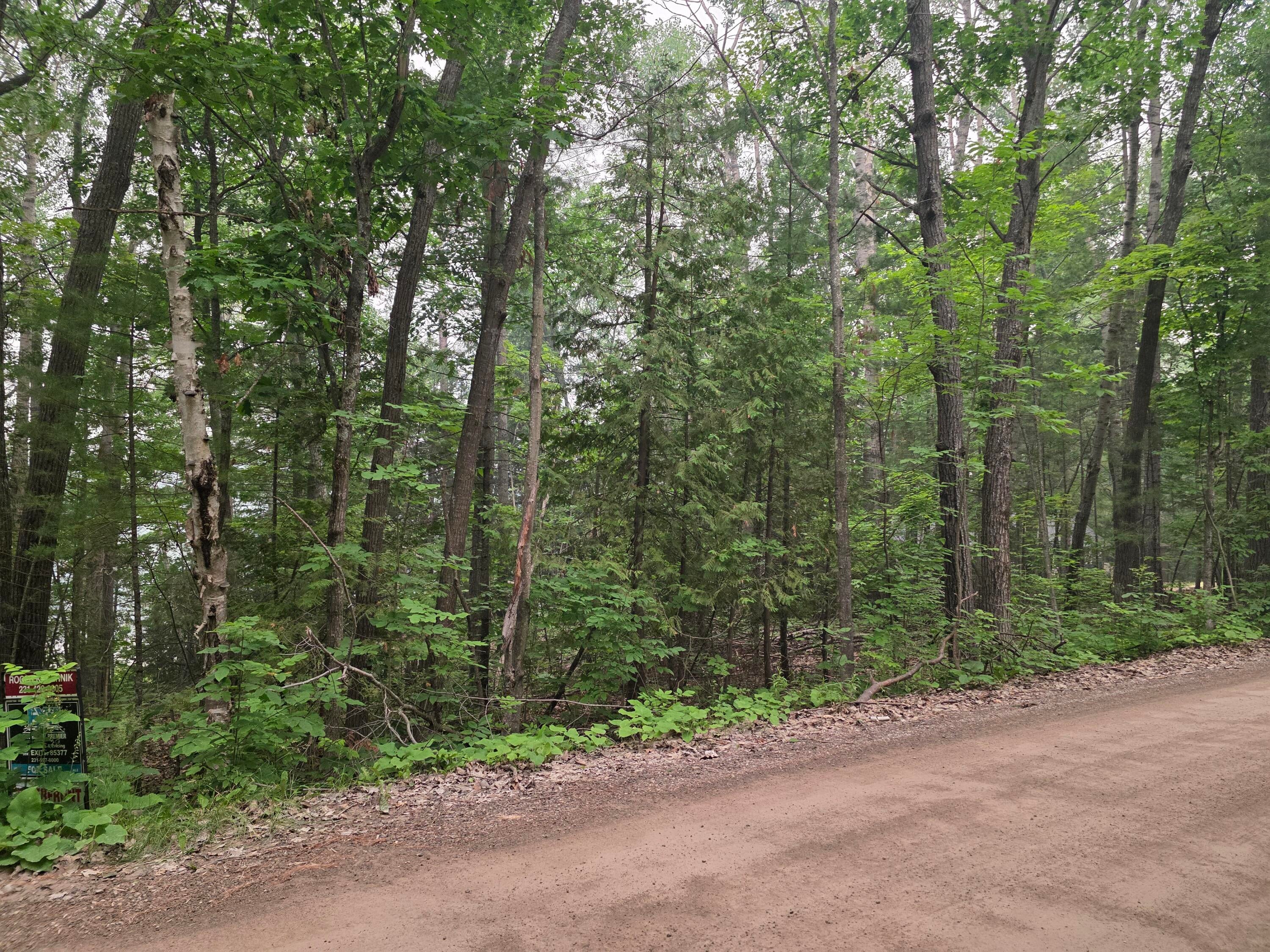 5829 Krouse Road Cheboygan, MI 49721 - Photo 6 of 7 Gallery Image 6