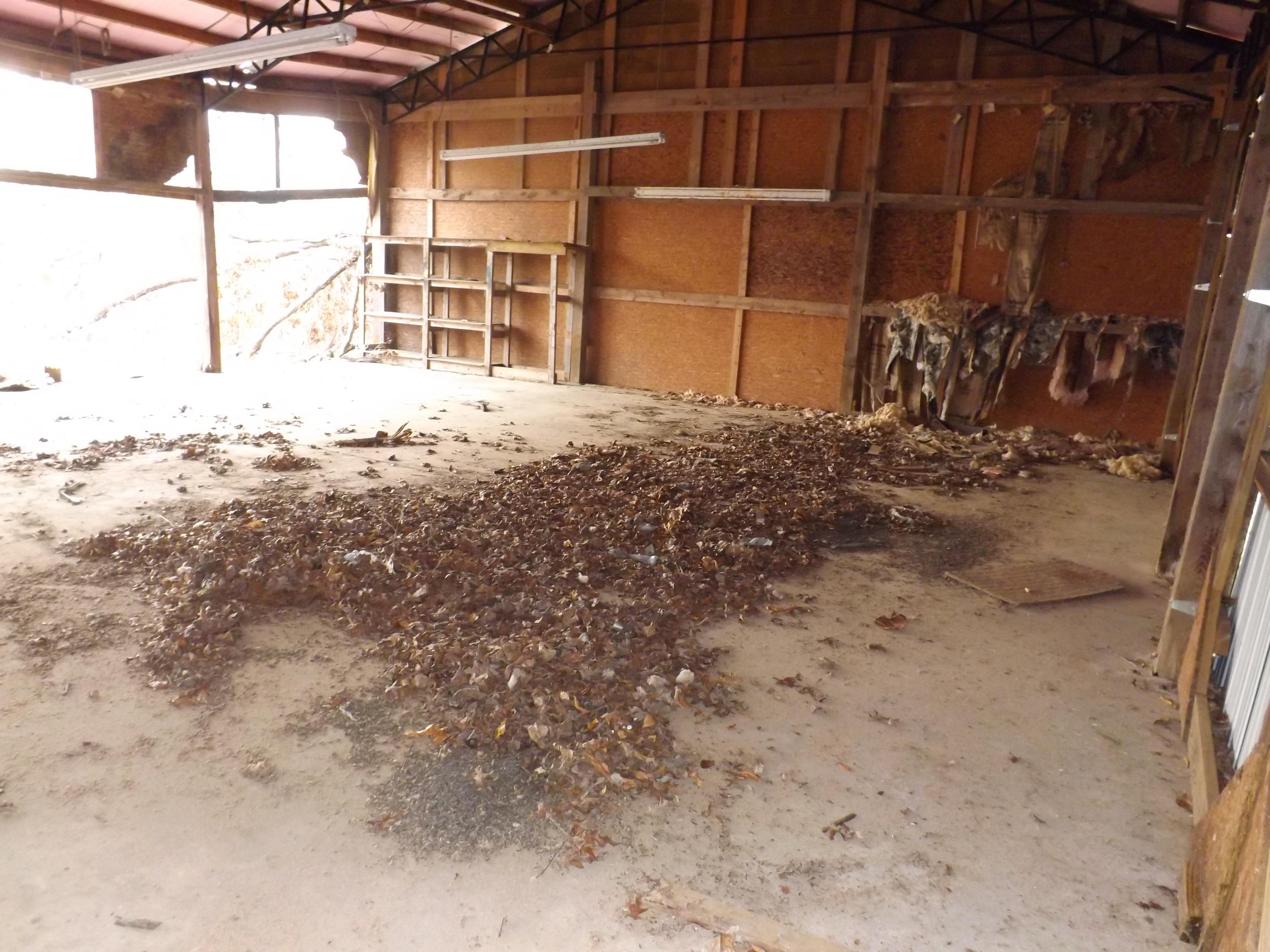 204 Stocker Road Palmer, TN 37365 - Photo 6 of 18 DSCF3848