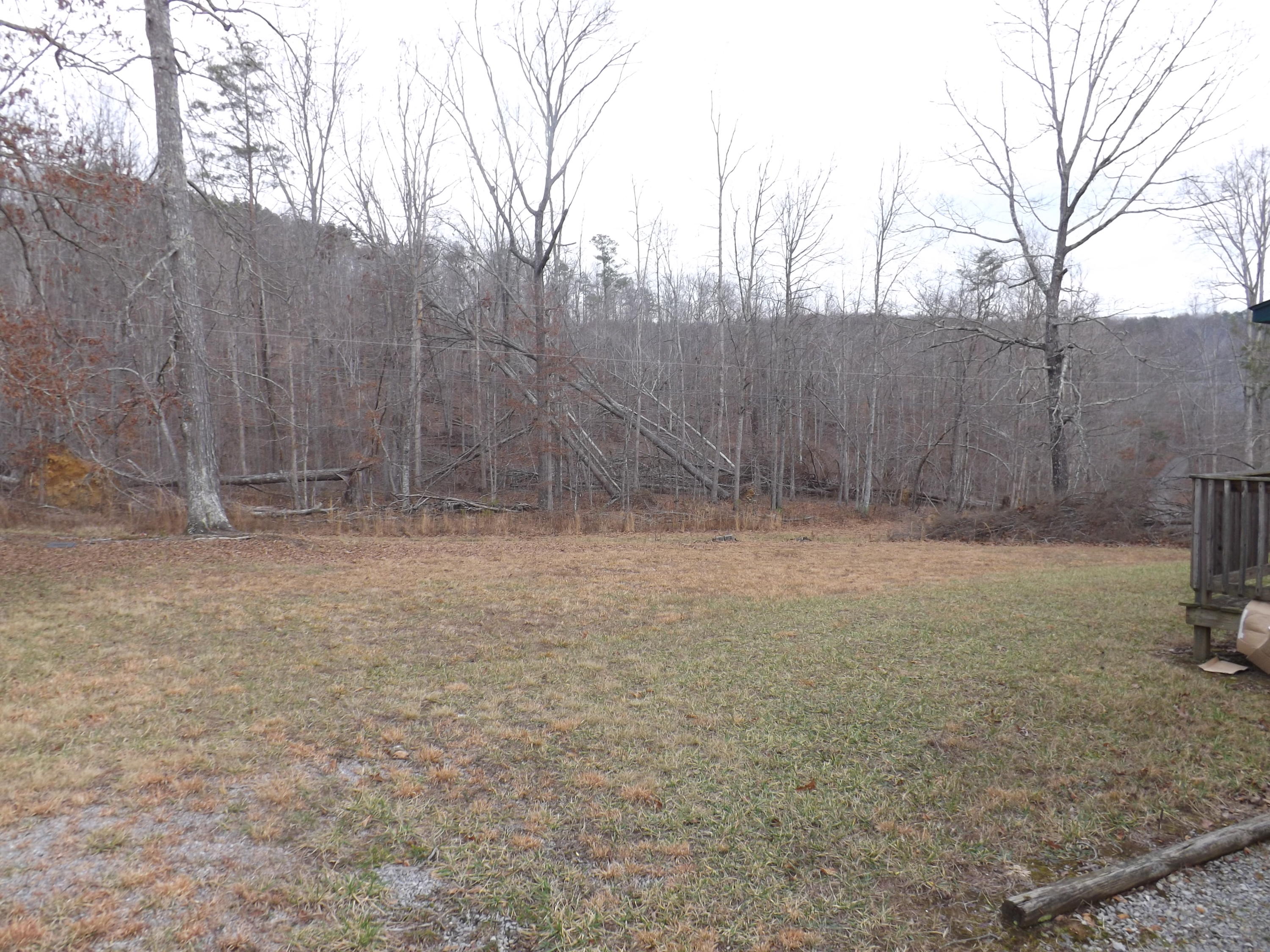 204 Stocker Road Palmer, TN 37365 - Photo 7 of 18 DSCF3849