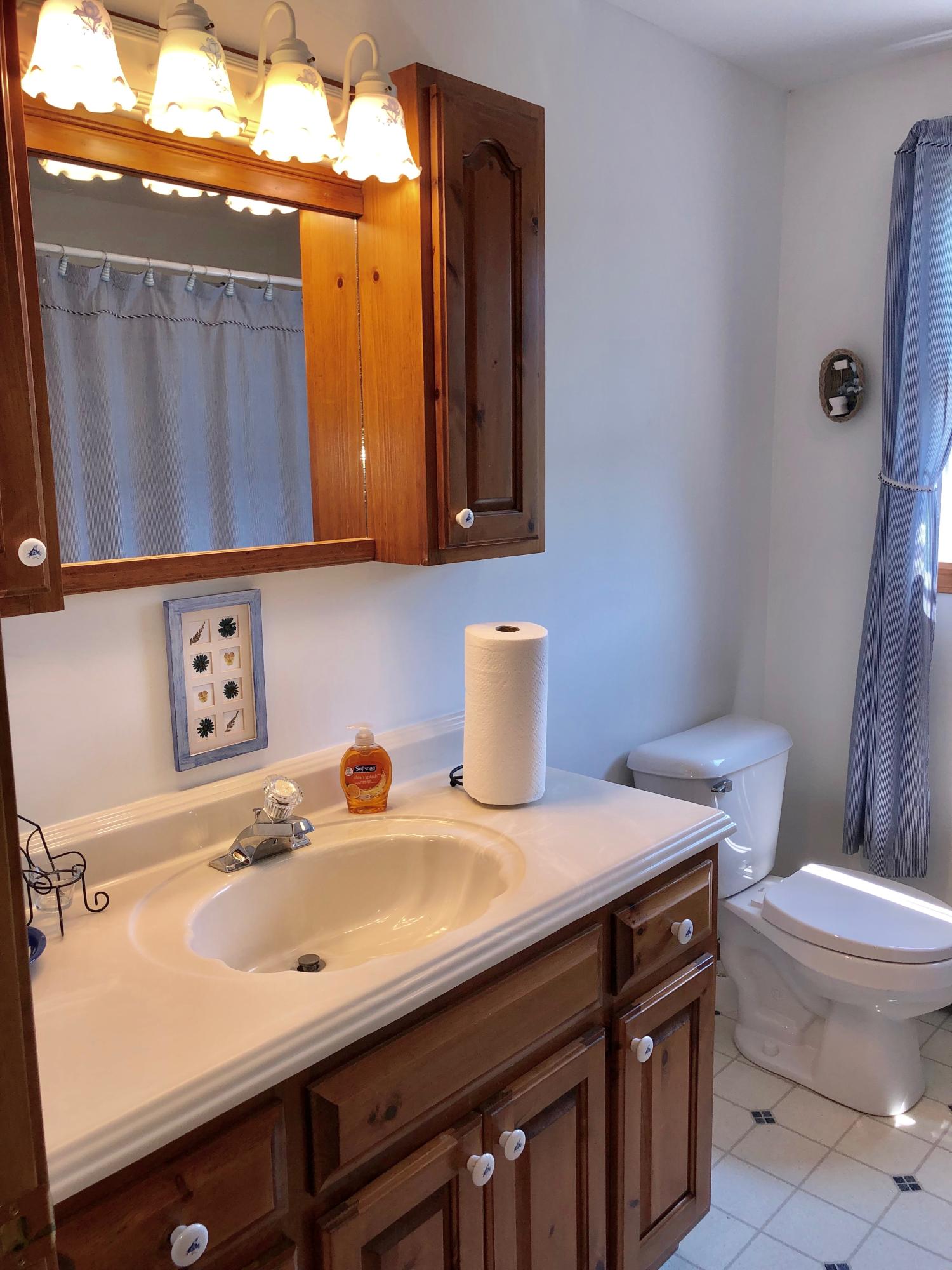 90 Jennie Clark Road Eastham, MA 02642 - Photo 21 of 35 a bathroom with a sink a toilet and mirror