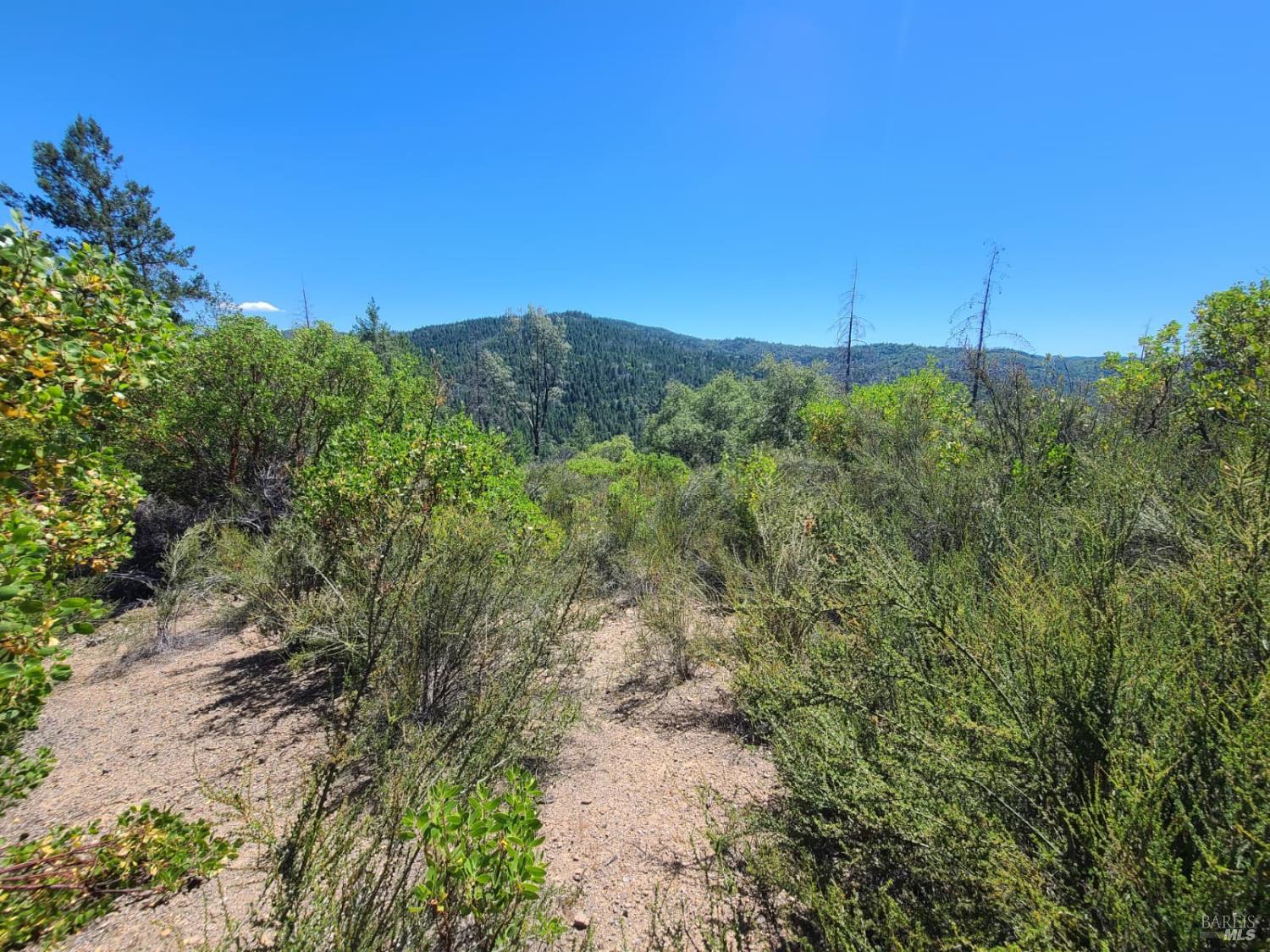 0 Etsel Ridge Road Covelo, CA 95428 - Photo 4 of 18