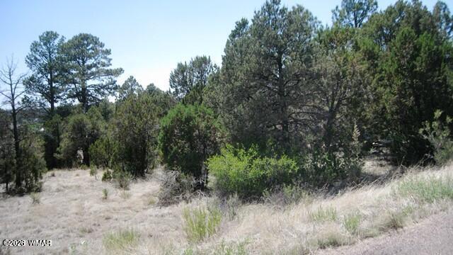 Undisclosed Address Overgaard, AZ 85933 - Photo 4 of 4 2223 Fairway 4