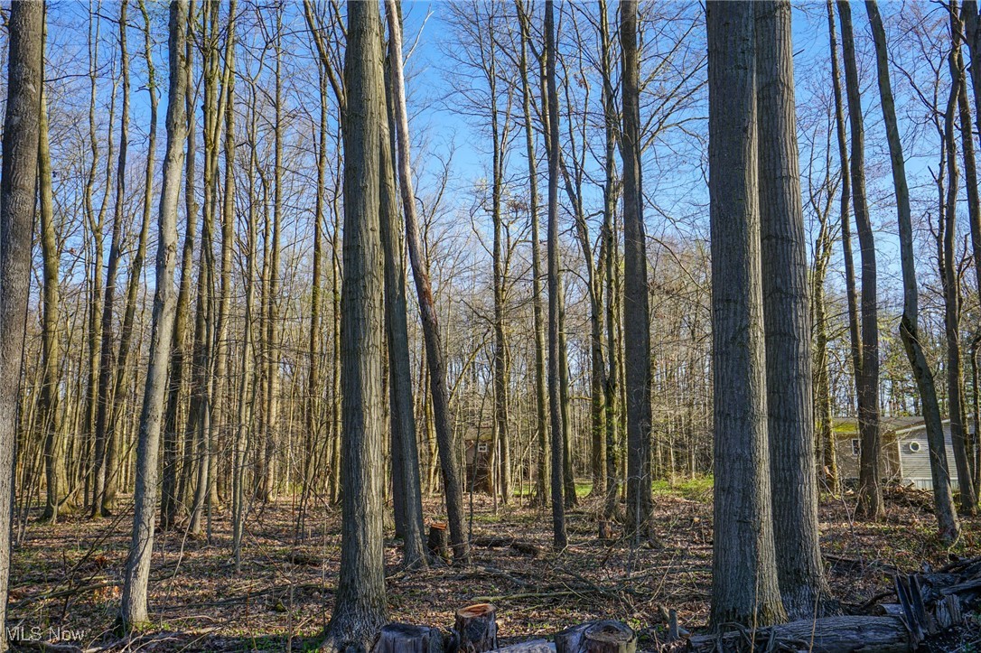 6831 Howard Road Williamsfield, OH 44093 - Photo 28 of 40 View of landscape