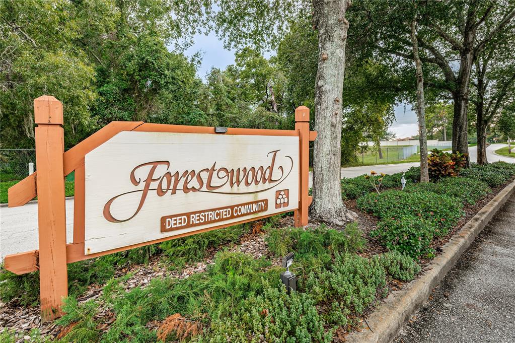 11717 Spring Tree Lane Port Richey, FL 34668 - Photo 33 of 42 Gallery Image 33