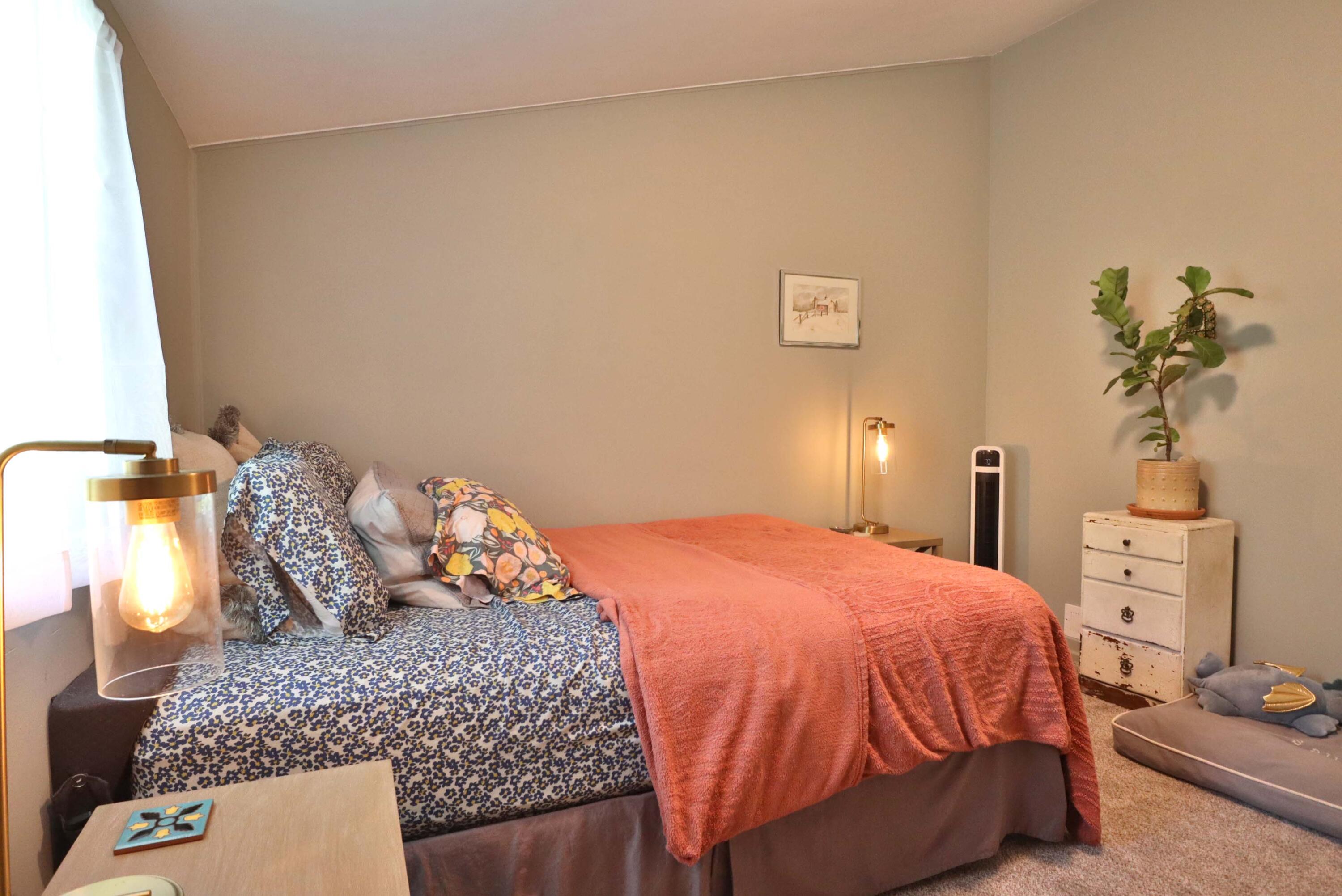 648 South Peach Tree Avenue Springfield, MO 65802 - Photo 27 of 53 PeachTree-2982