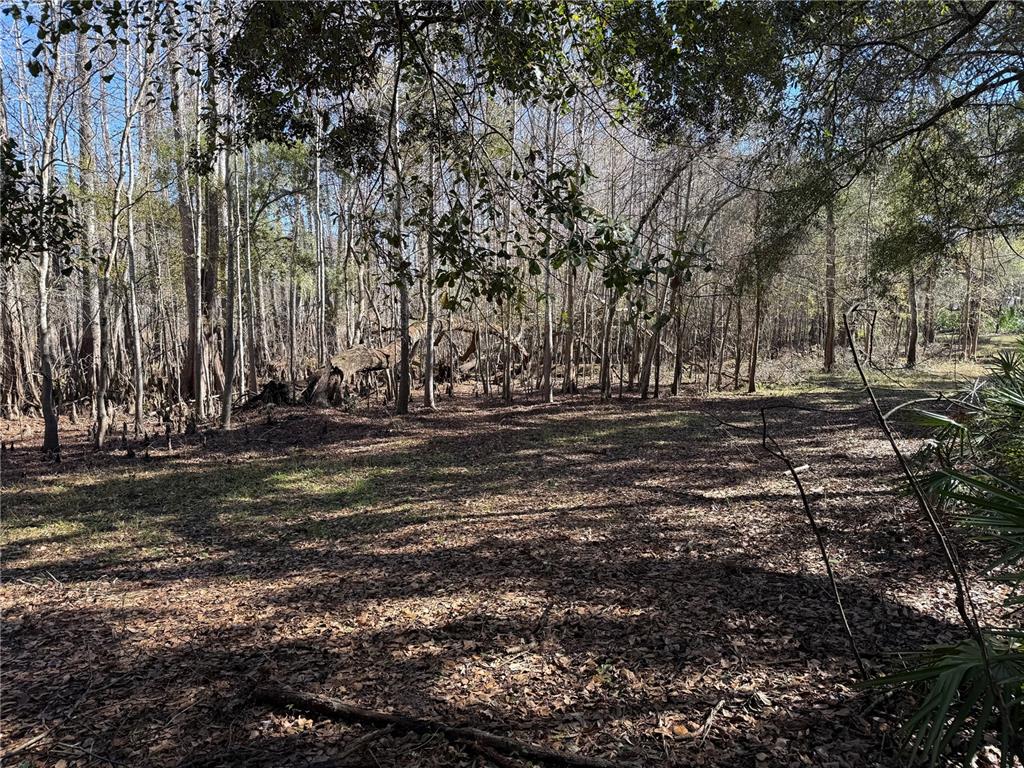 18630 Bradshaw Road Dade City, FL 33523 - Photo 34 of 43 a view of outdoor space with yard