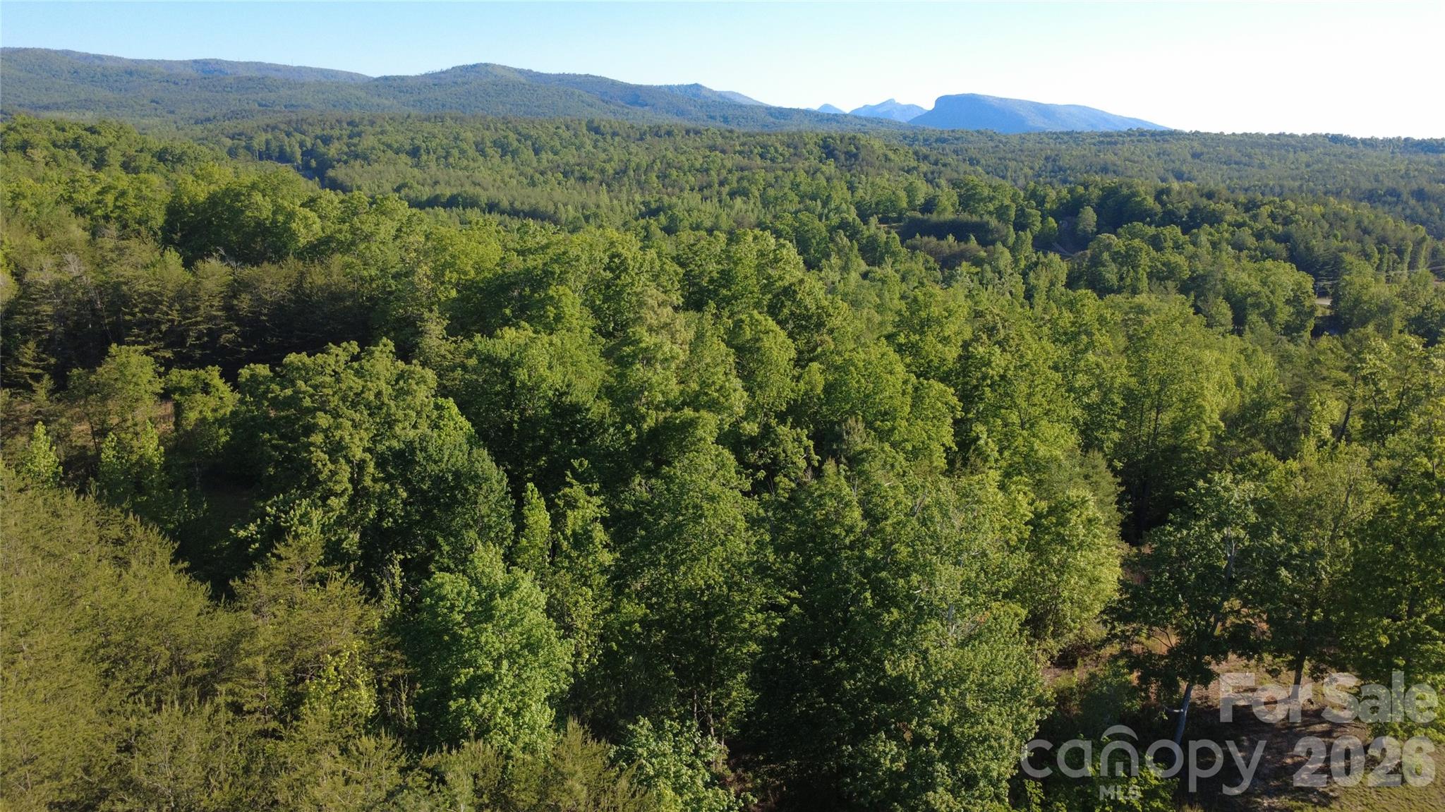 431 Ridge Point Road, Unit 7 Nebo, NC 28761 - Photo 13 of 20