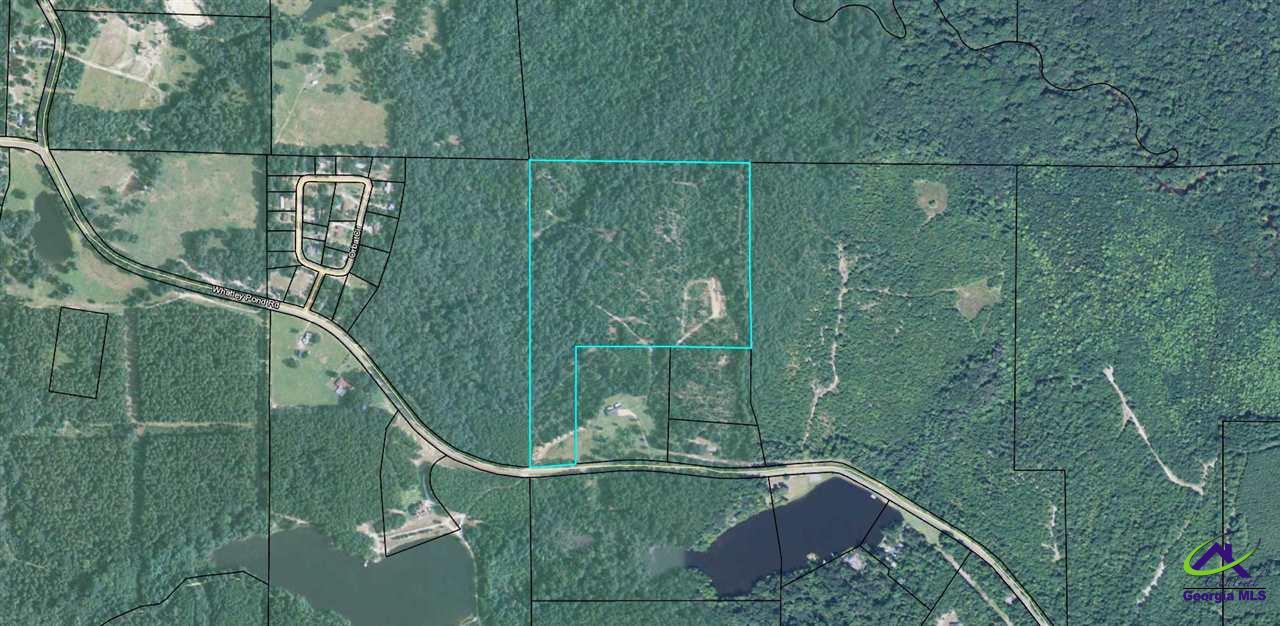 Tbd Whatley Pond Road Reynolds, GA 31076 - Photo 1 of 1