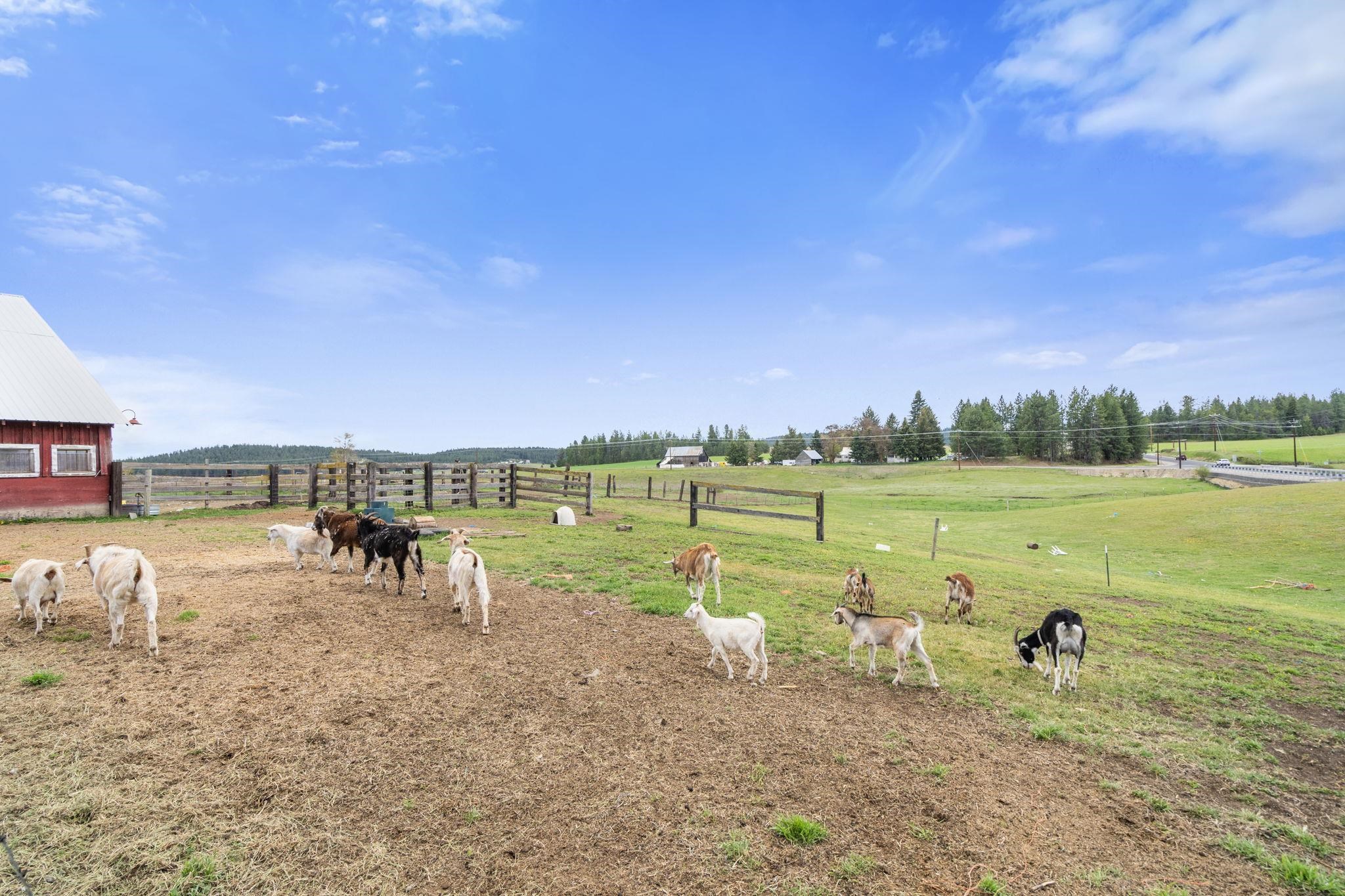 5091 South Swenson Road Deer Park, WA 99006 - Photo 37 of 45 Gallery Image 37
