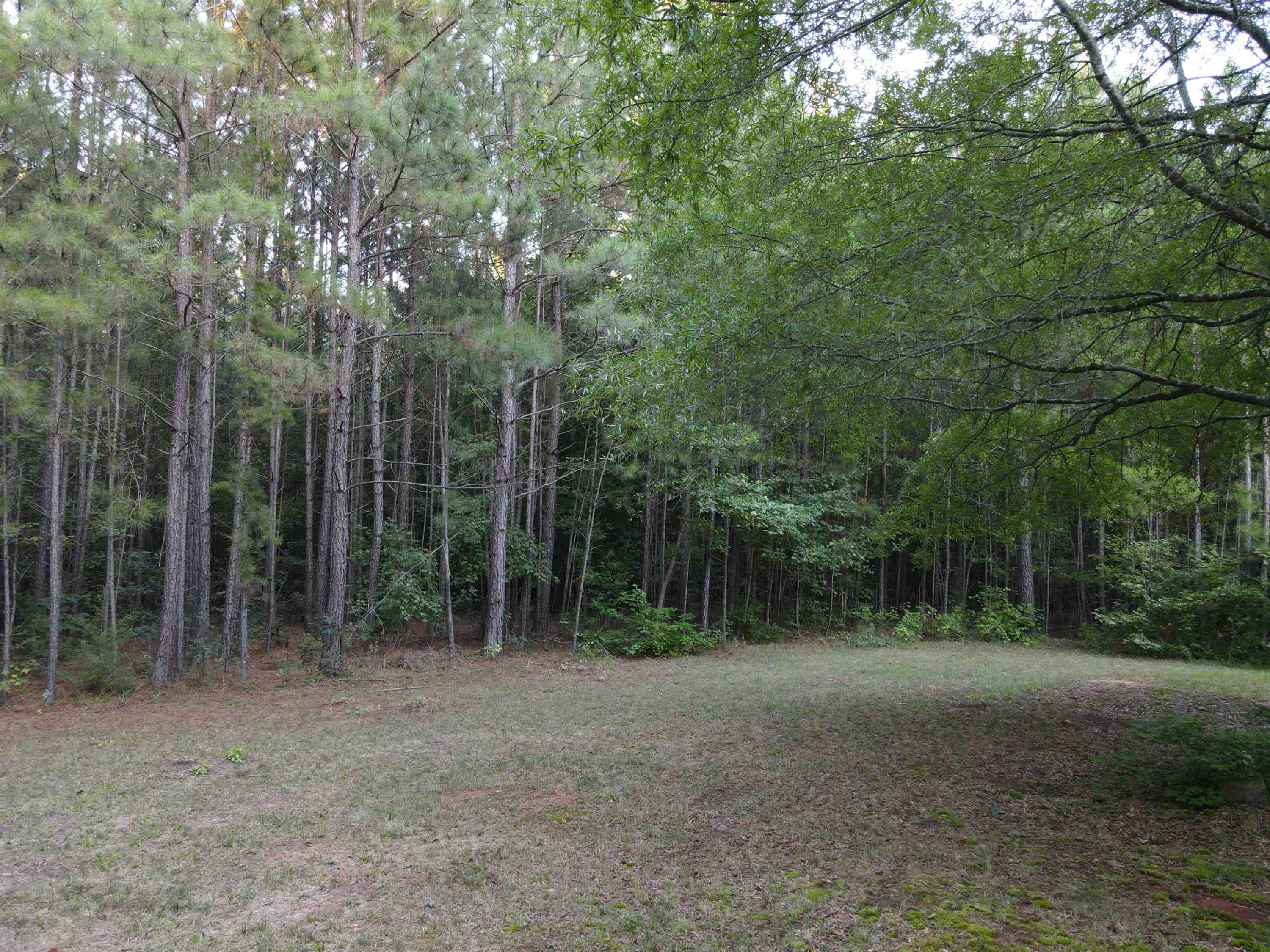 Creedmoor Road Wake Forest, NC 27587 - Photo 19 of 38 Photo 19