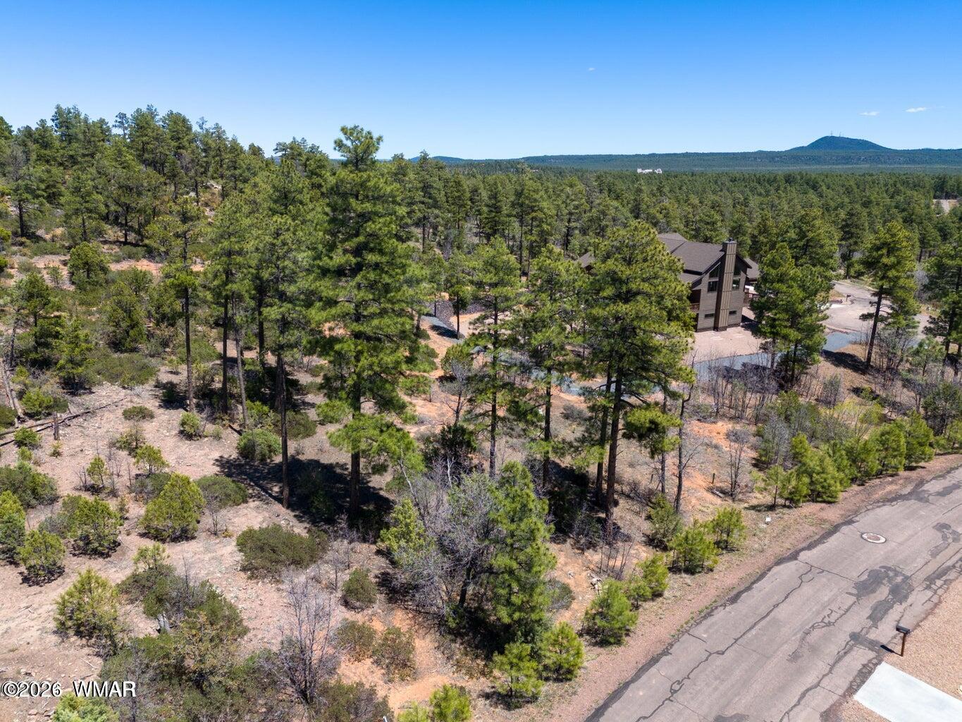 6007 Rim Road Show Low, AZ 85901 - Photo 2 of 7 Gallery Image 2