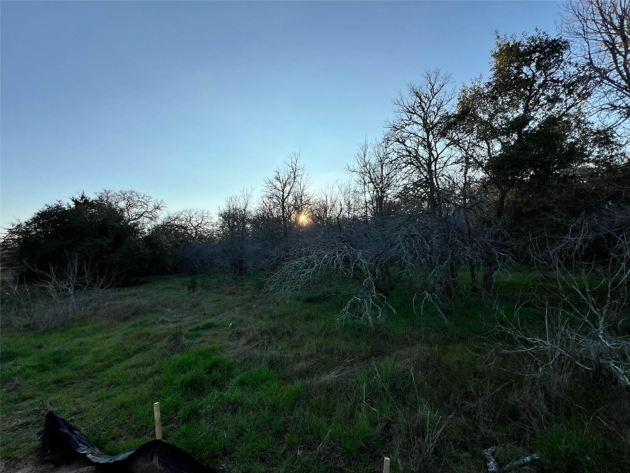 805 Wilderness Road Somerville, TX 77879 - Photo 10 of 10 a view of a lush green space