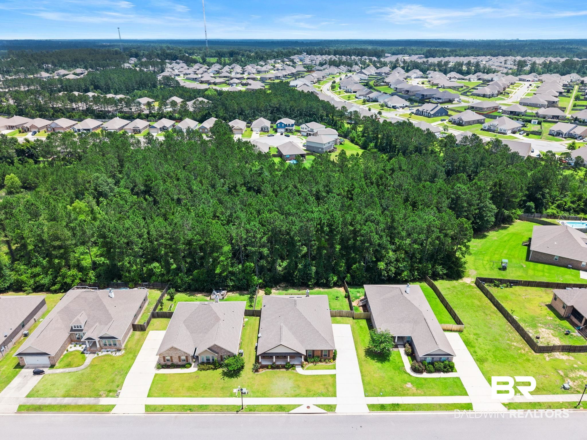31350 Hoot Owl Road Daphne, AL 36527 - Photo 78 of 94 Residential neighborhood featuring single-story homes with well-maintained lawns and paved driveways