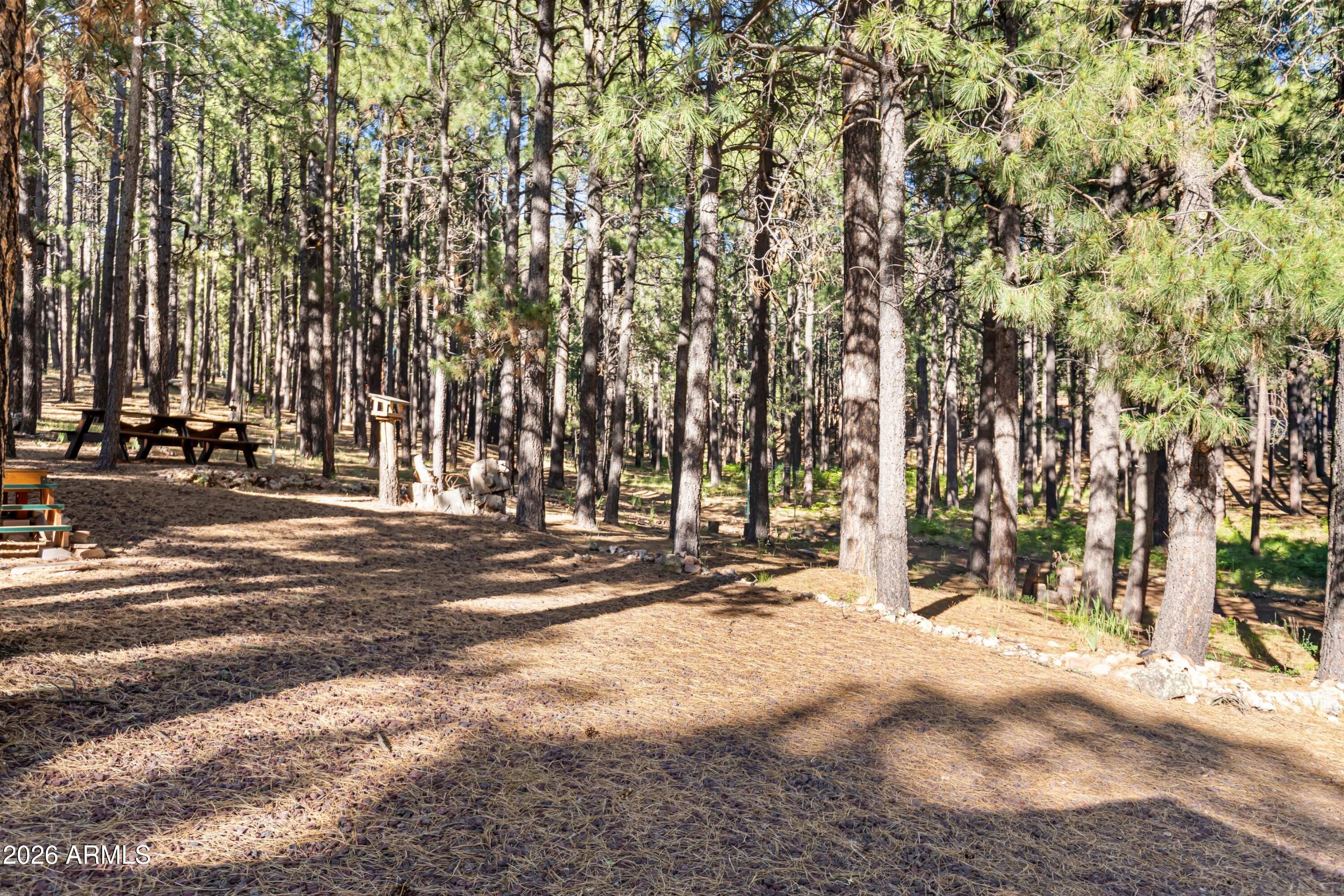 2367 Ryan Ranch Loop Forest Lakes, AZ 85931 - Photo 65 of 70