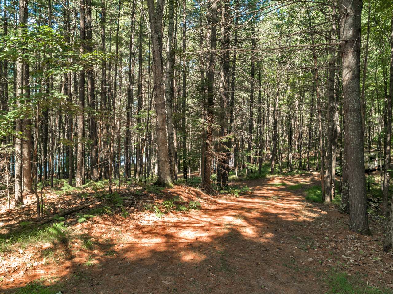 Lot 2 Bassett Road Minocqua, WI 54548 - Photo 4 of 15 Gallery Image 4