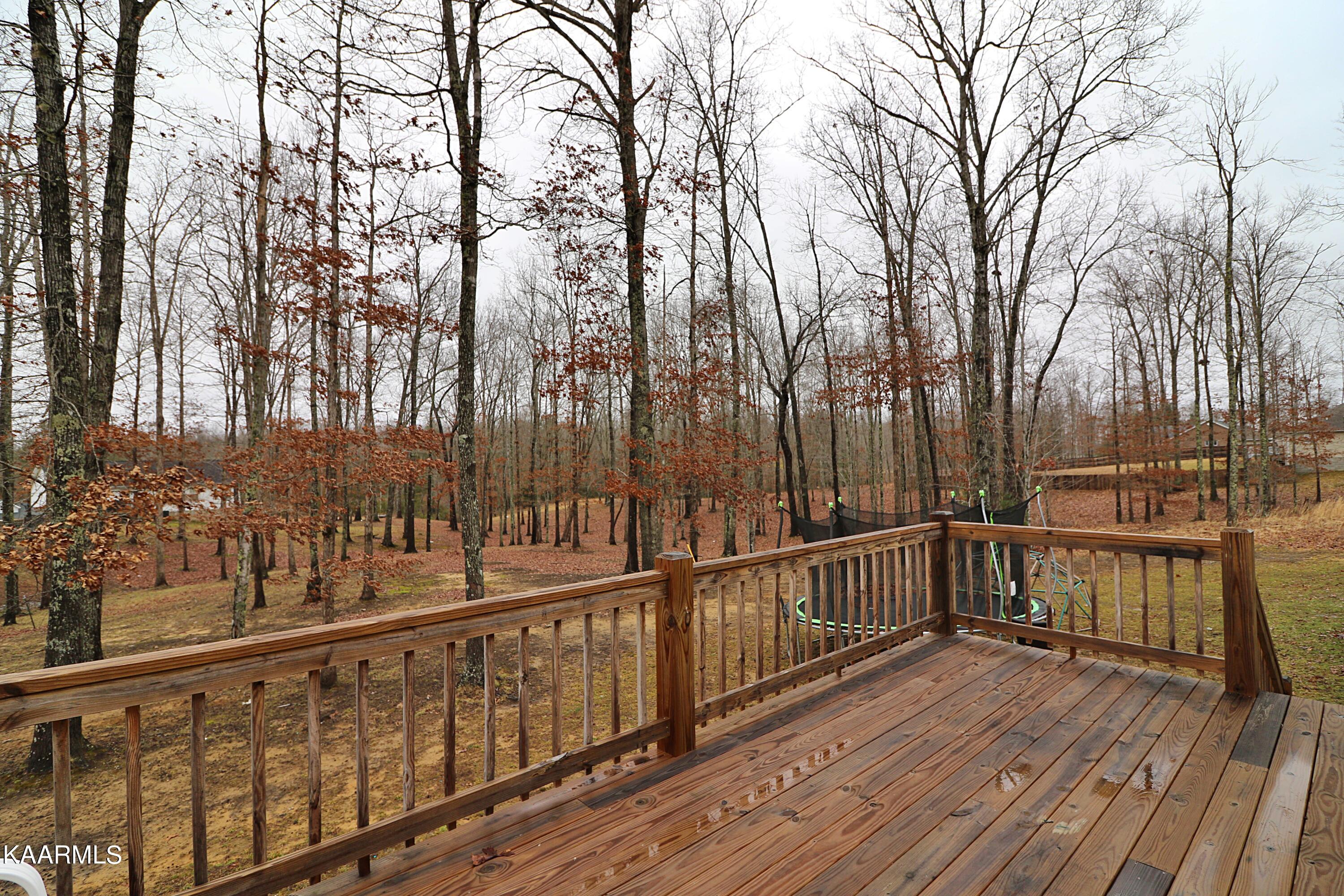 1190 Toomey Road Oneida, TN 37841 - Photo 25 of 31 094A8927