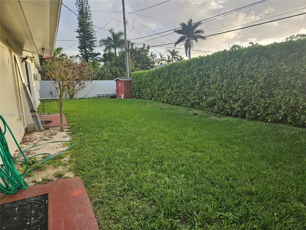 a view of a garden with a tree in the background