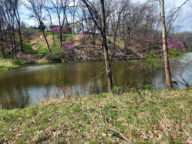 a view of a lake with a house in the background