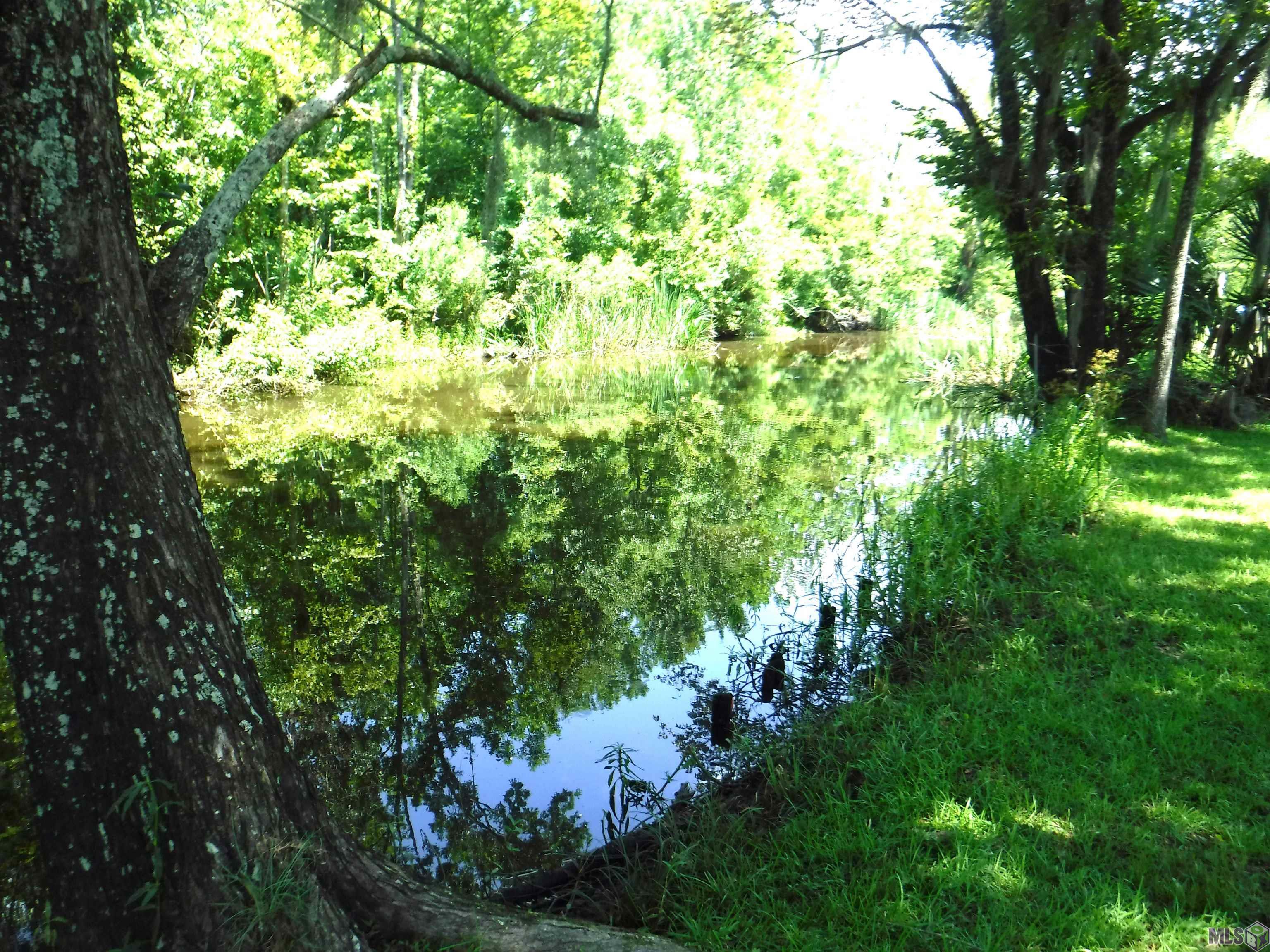 8369 Phillips Road St. Amant, LA 70774 - Photo 15 of 18 Bayou Francois