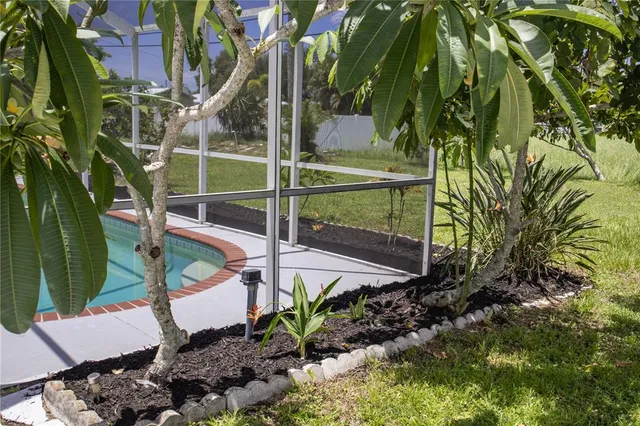 a view of a backyard with plants