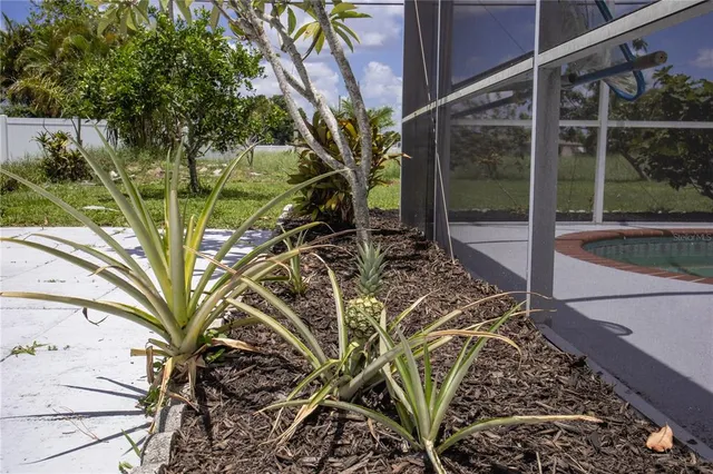 a view of a backyard