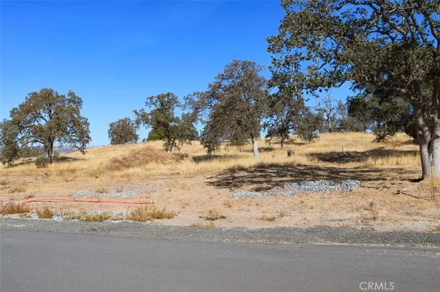 $200,000 | -48 Ac Sunflower Lane, Coarsegold, CA 93614