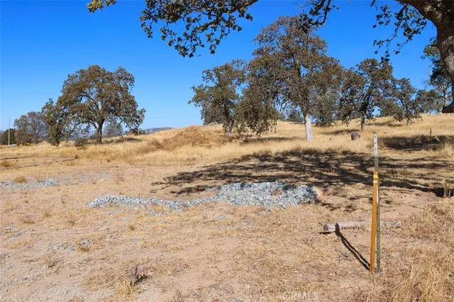 a view of dirt yard with a tree