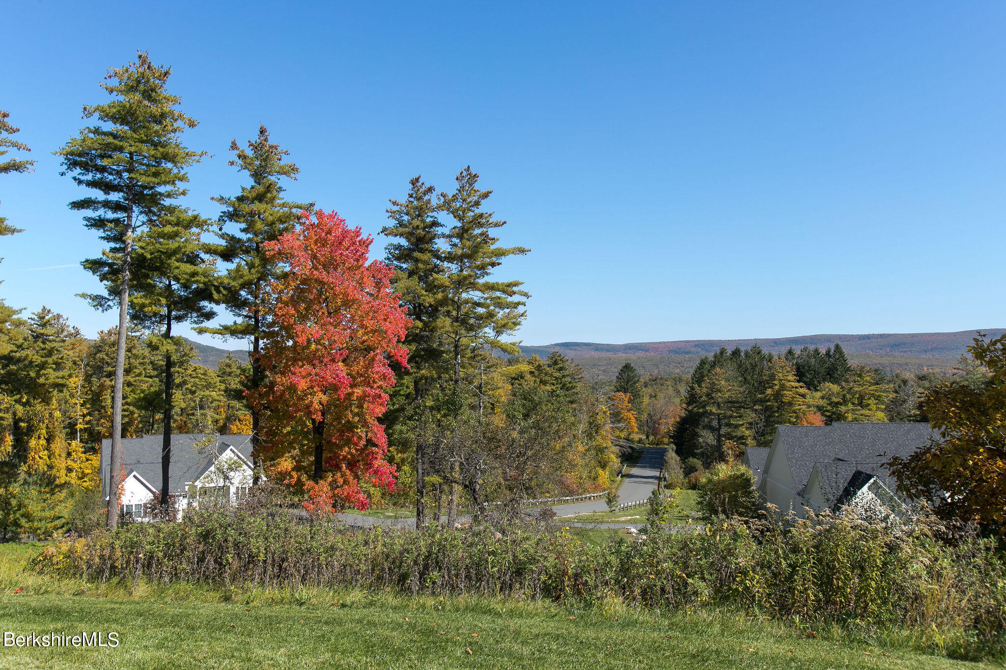 19 Burning Tree Road Great Barrington, MA 01230 - Photo 29 of 33 a view of a garden