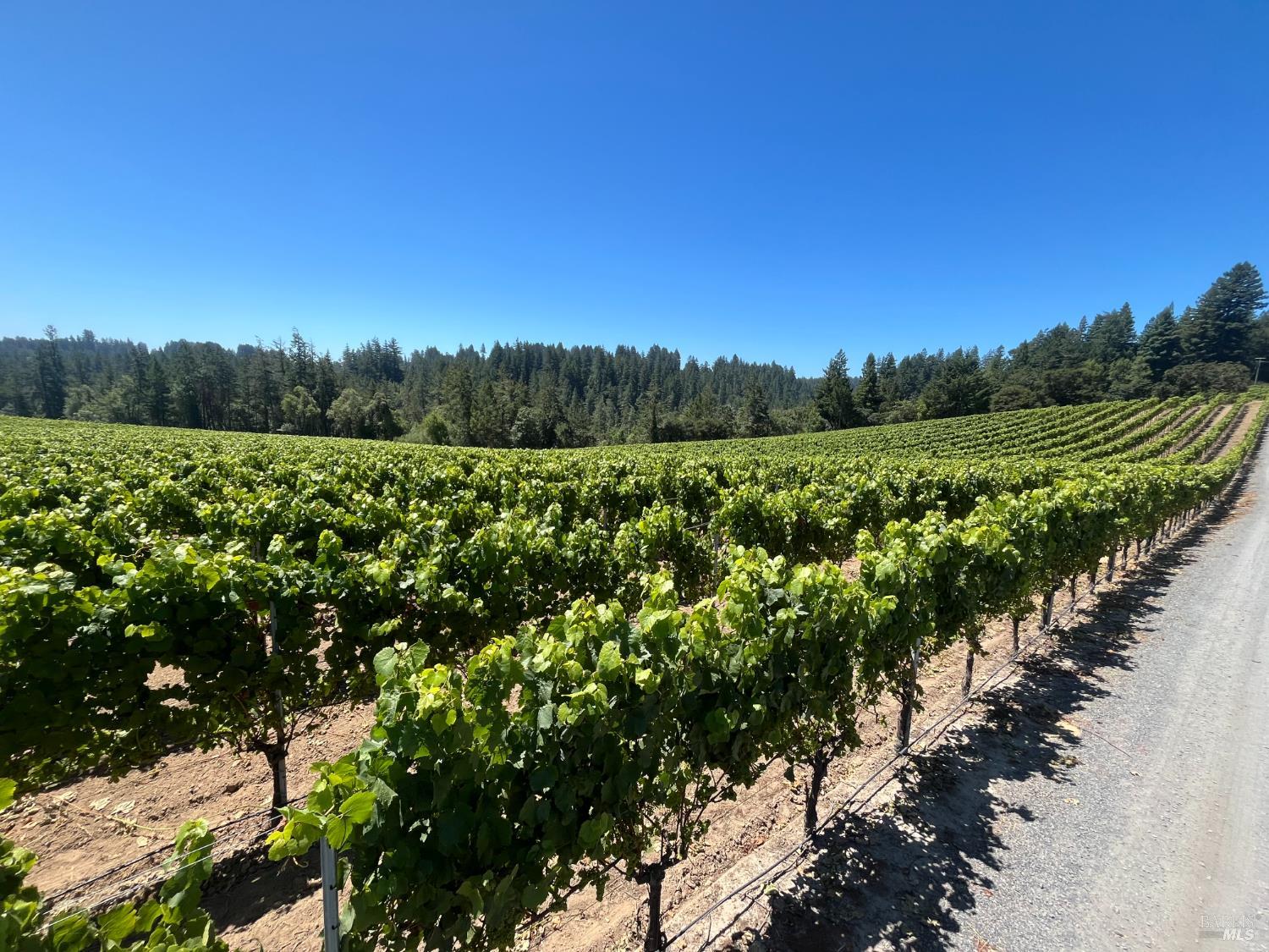 11480 Graton Road Sebastopol, CA 95472 - Photo 4 of 14