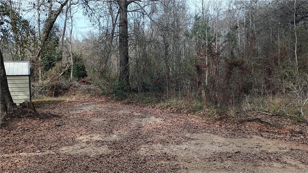 Lot 2 Magnolia Street Folsom, LA 70437 - Photo 4 of 5
