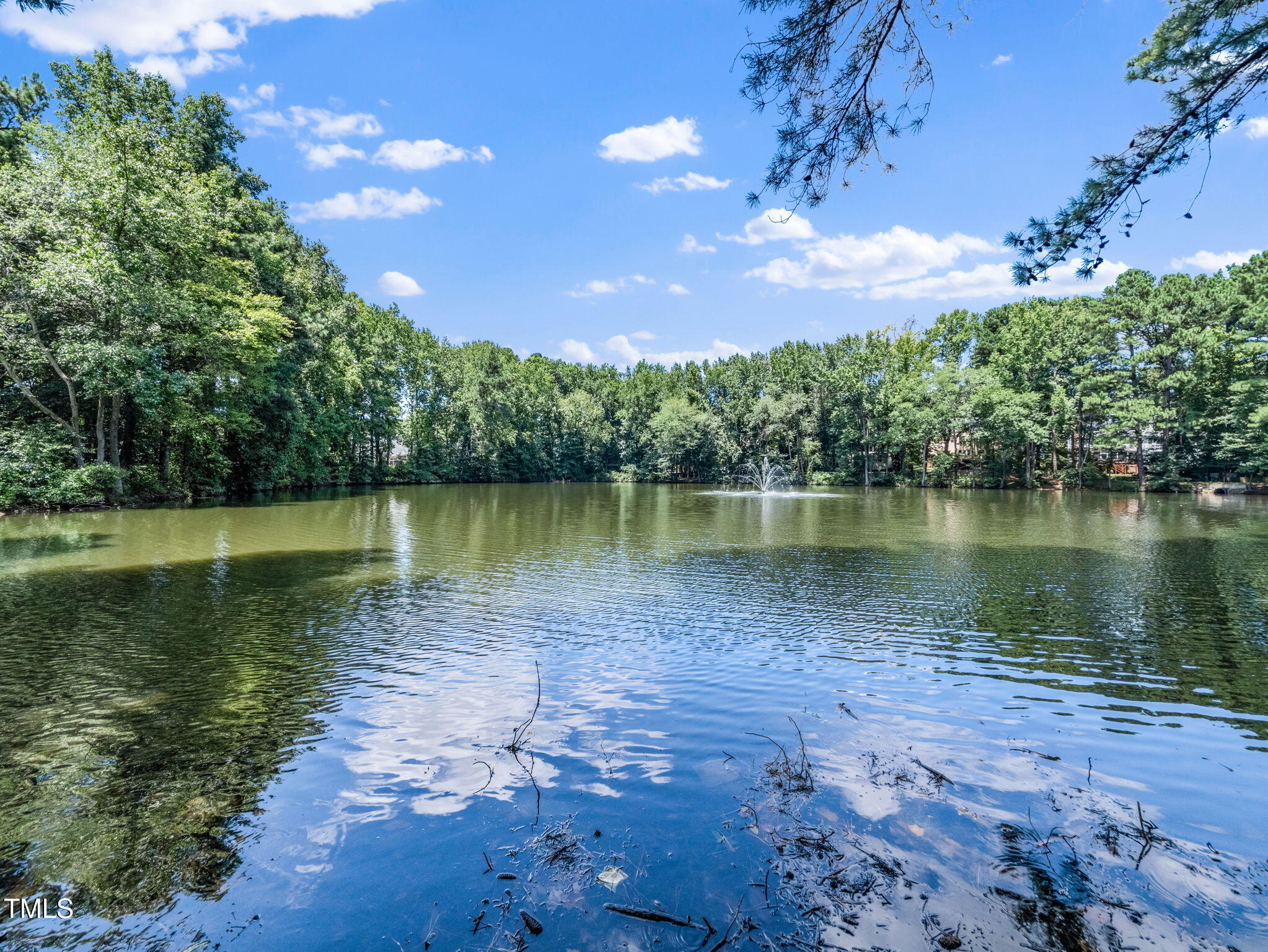 2610 Sawmill Road Raleigh, NC 27613 - Photo 23 of 25 Look at that View!