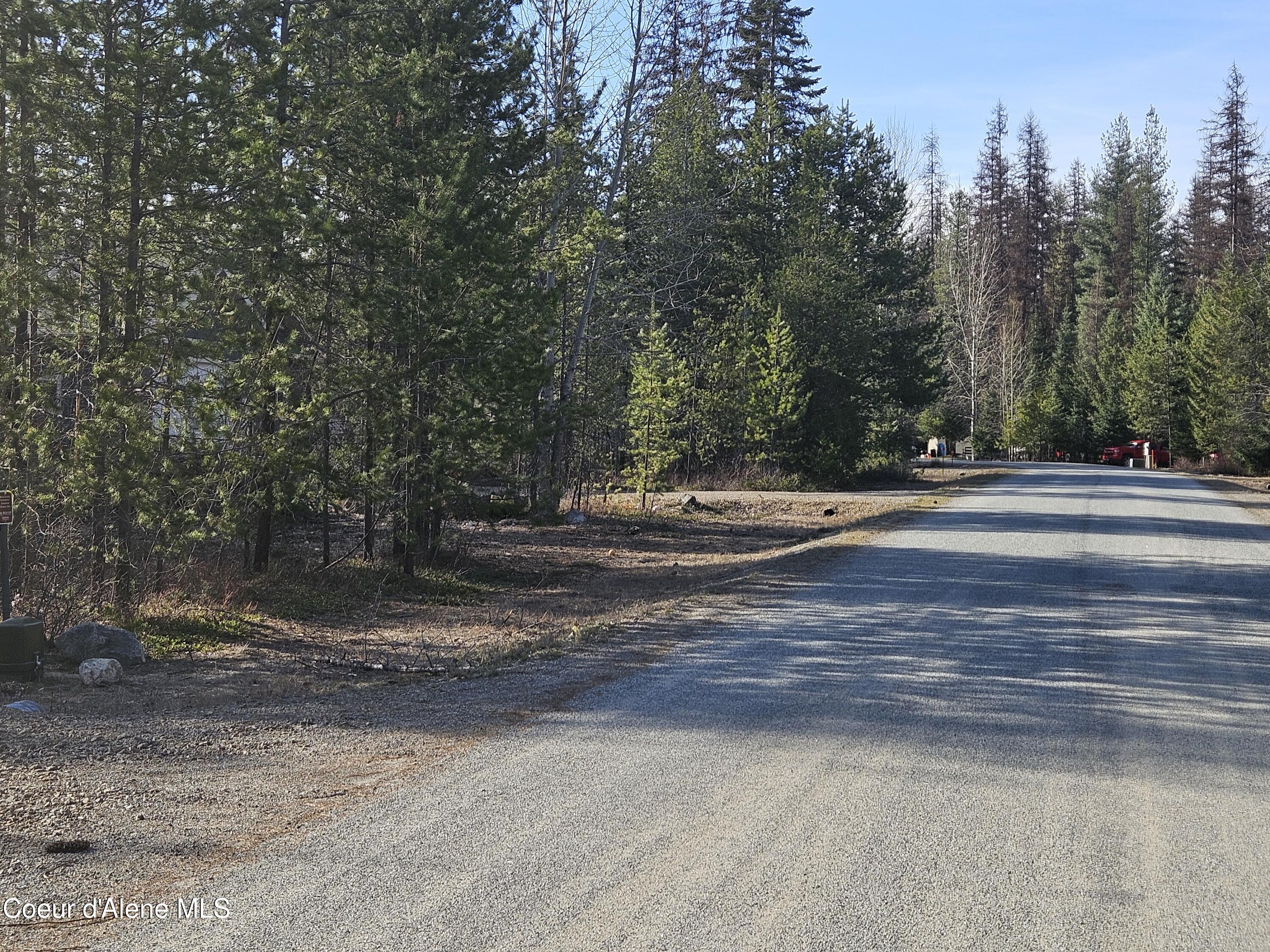 Nna North Ryan Road Priest Lake, ID 83856 - Photo 2 of 4 Front of lot w-road