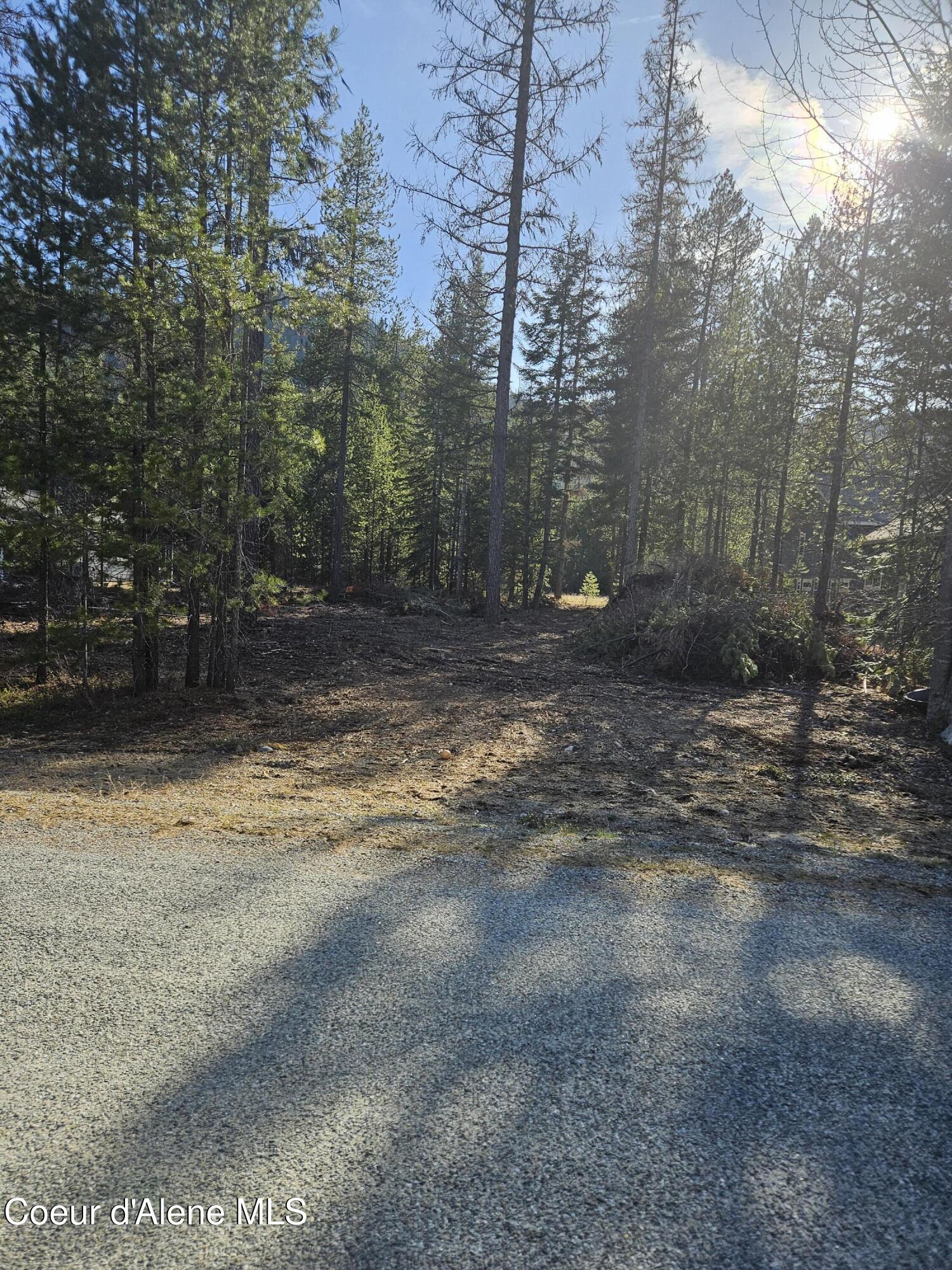 Nna North Ryan Road Priest Lake, ID 83856 - Photo 3 of 4 Lot straight on