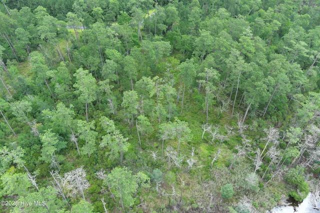 $115,000 | 304 Mason Bay Road, Merritt, NC 28556