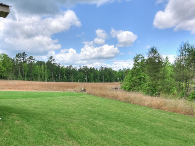 202 Swinton Pond Road Grovetown, GA 30813 - Photo 25 of 26