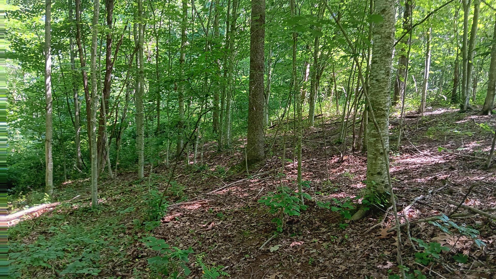 0 681st Road, Unit ALBANY HIDEAWAY TRACT 4) Albany, OH 45710 - Photo 7 of 47