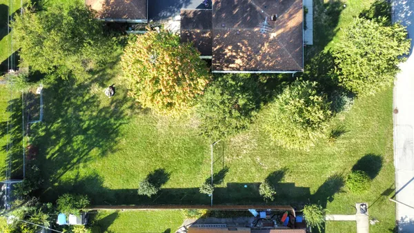 a view of a yard with plants