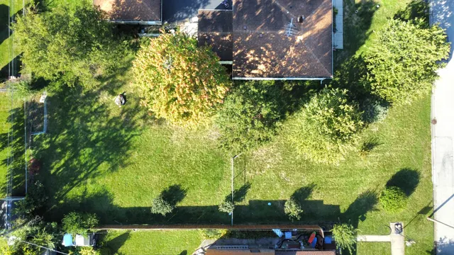 a view of a yard with plants