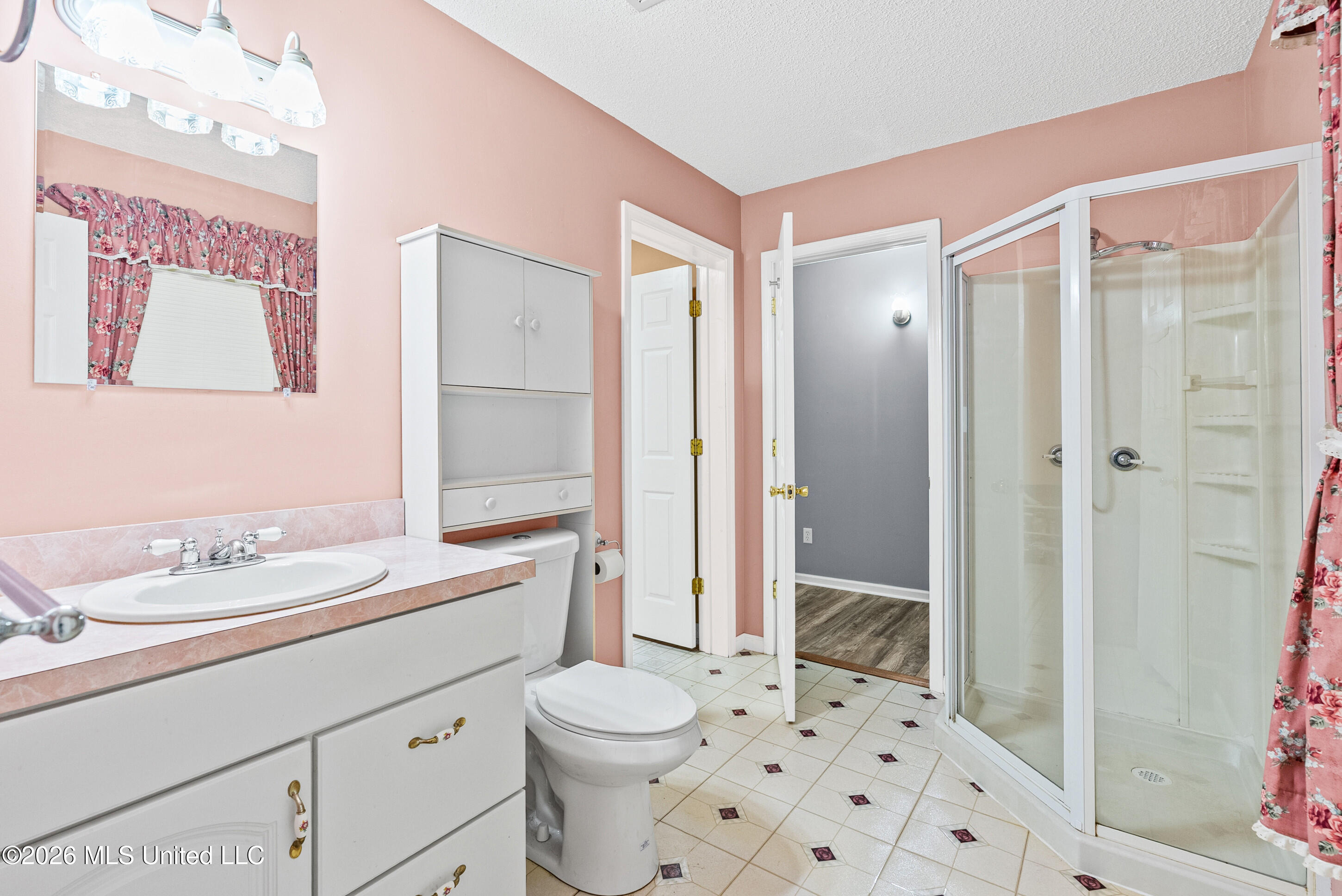 2500 Mays Road Coldwater, MS 38618 - Photo 22 of 32 Guest Bath