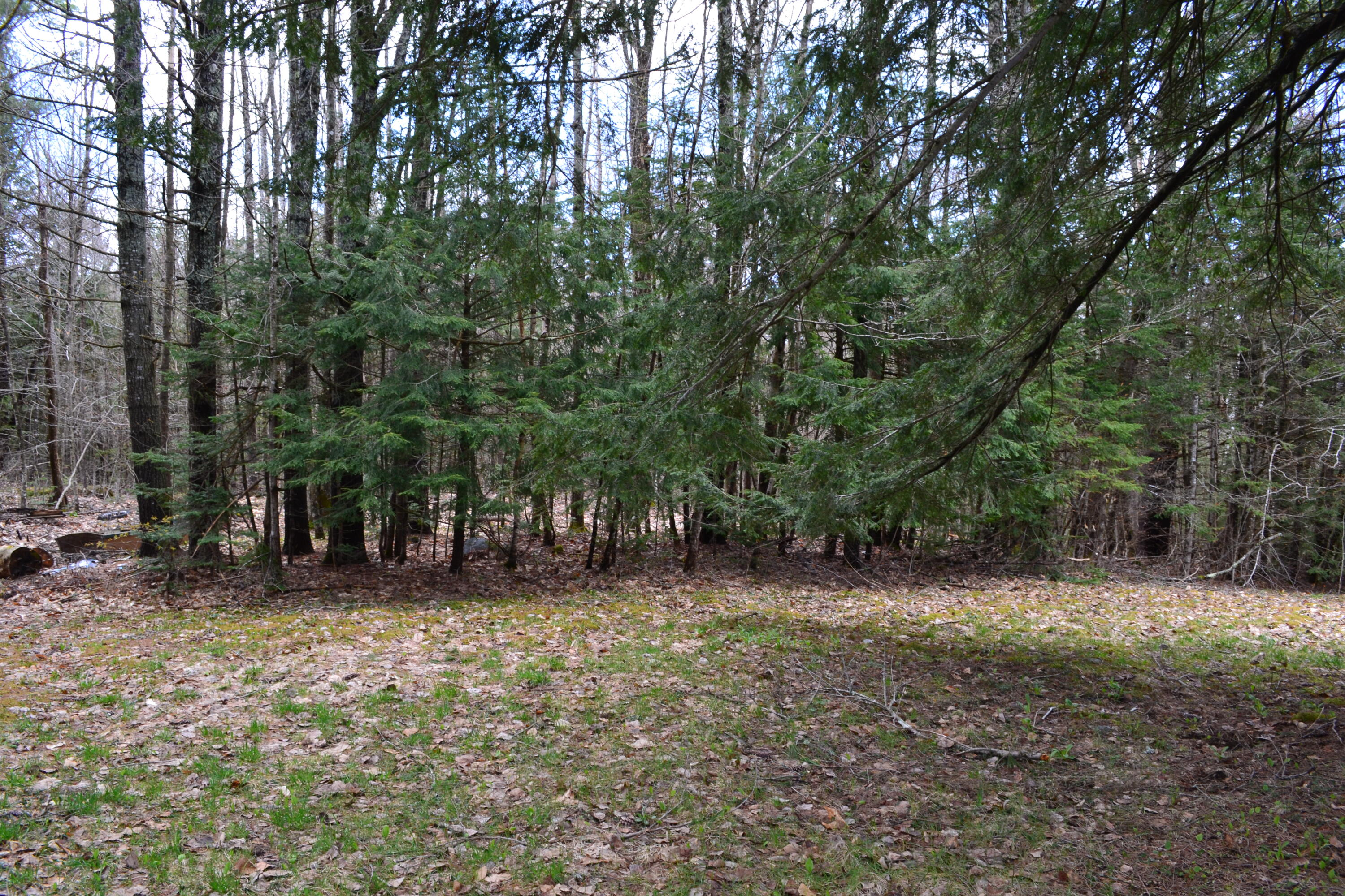 Lot 10 Howe Hill Road Greenwood, ME 04255 - Photo 5 of 14 DSC_0040