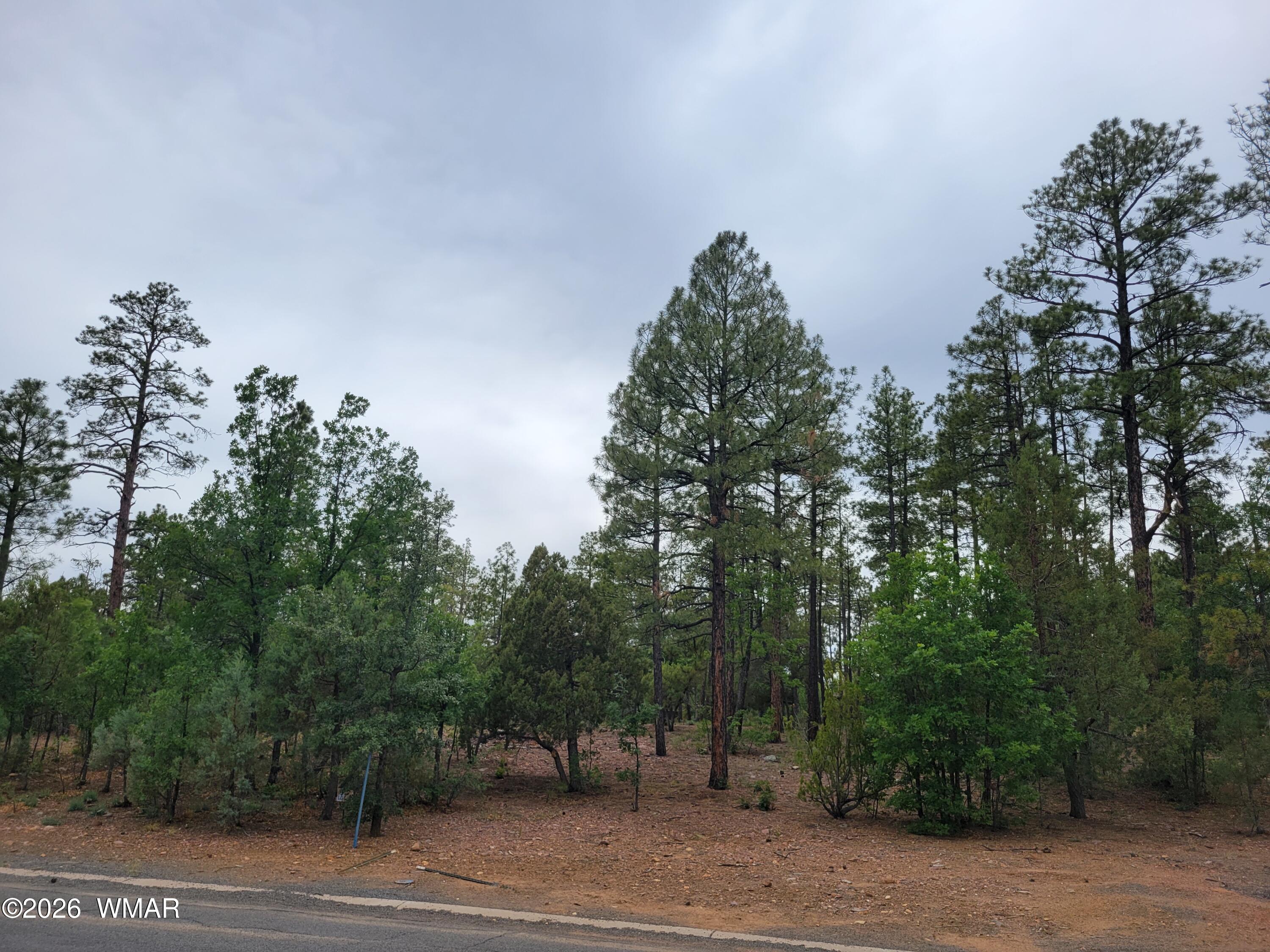 2425 South Timber Pine Lane Pinetop, AZ 85935 - Photo 5 of 16 a view of a city view