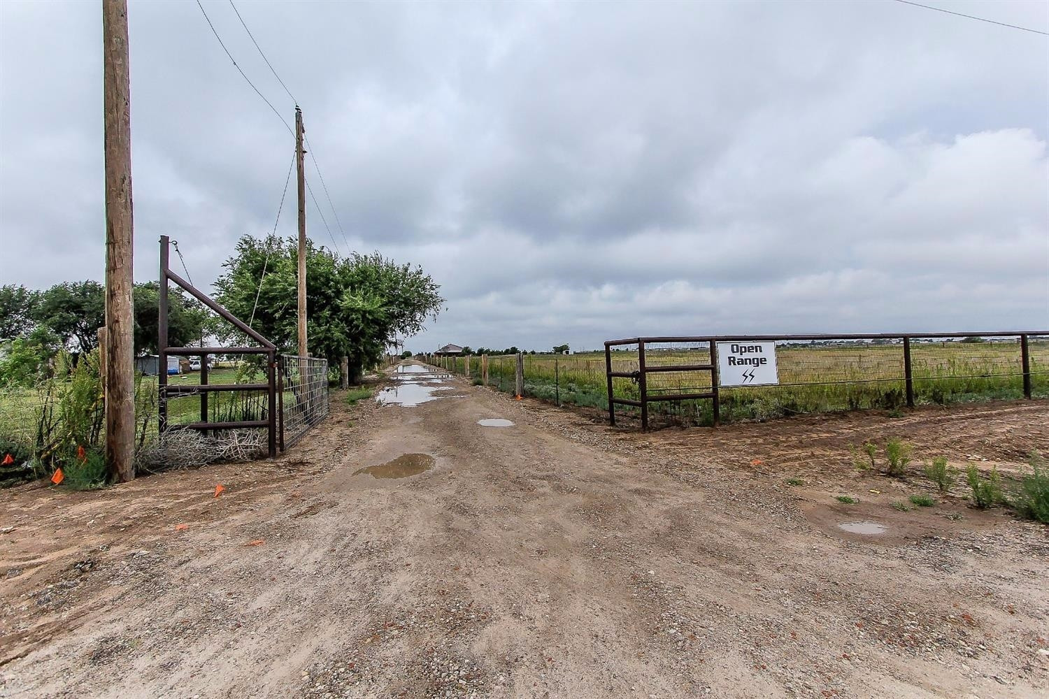 1778 Pheasant Lubbock, TX 79407 - Photo 2 of 10 Driveway