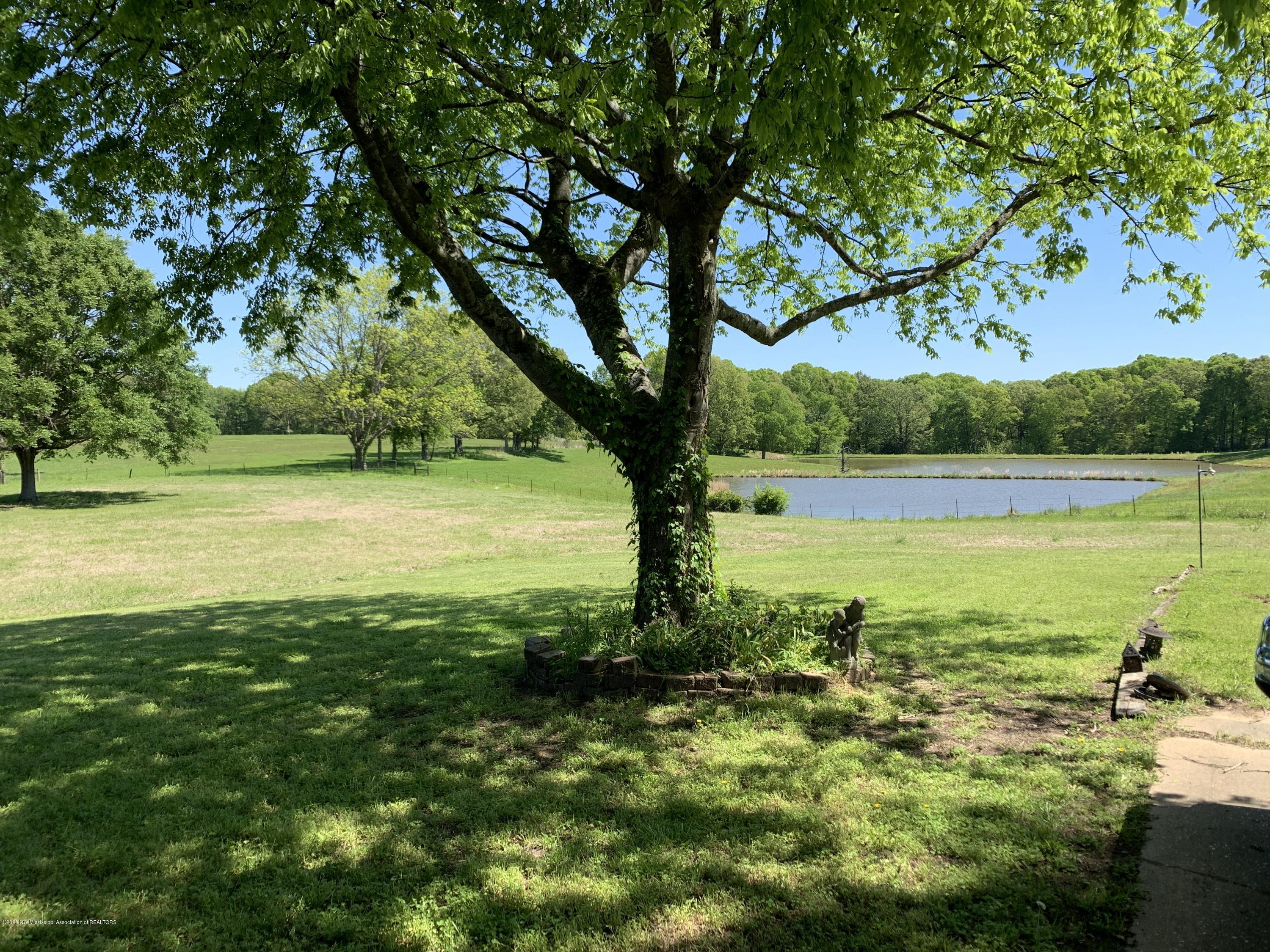 1016 Parks Place Road Batesville, MS 38606 - Photo 10 of 16 20200421_162042685_iOS