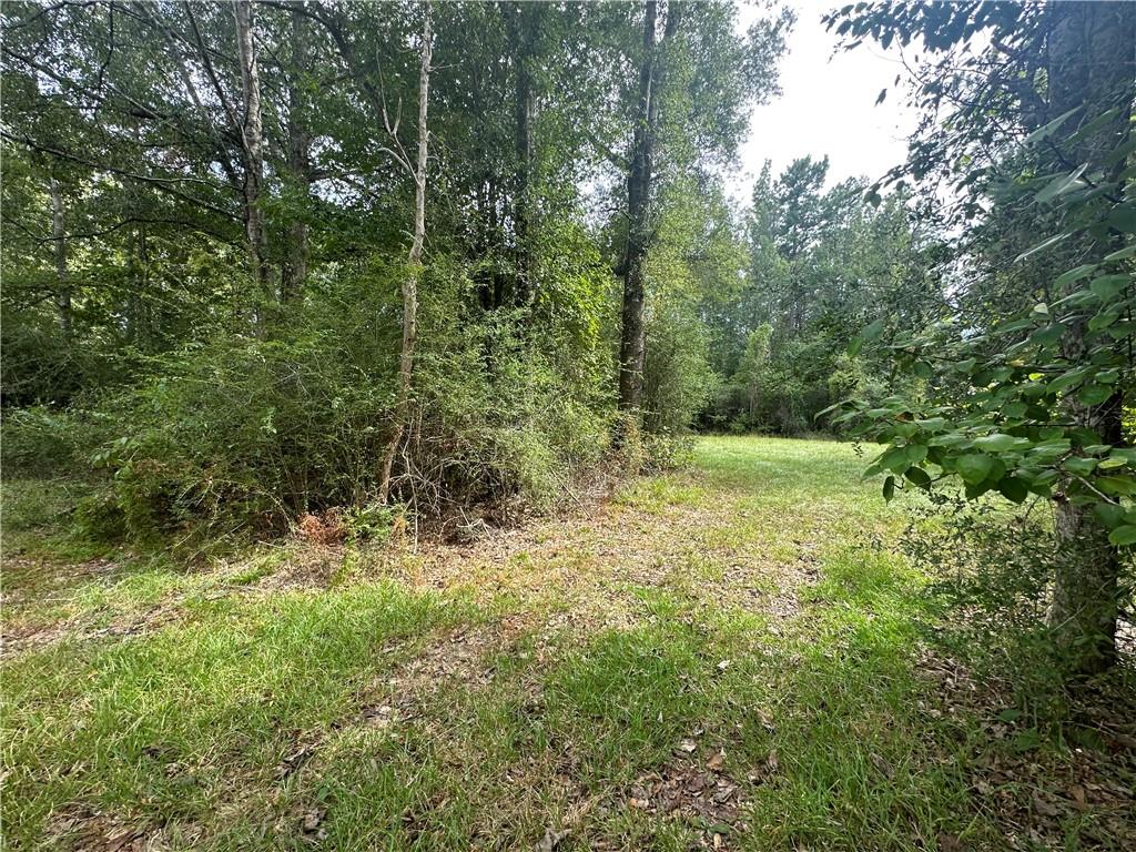 290 10 Mile Road Pitkin, LA 70656 - Photo 21 of 29 Gallery Image 21