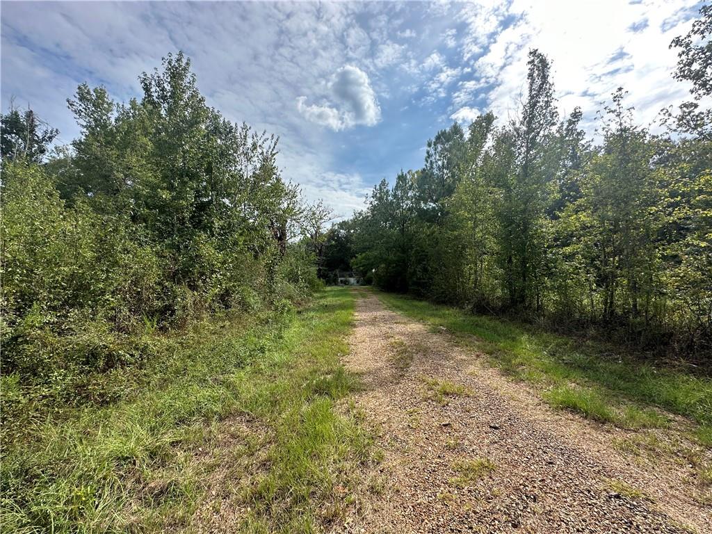 290 10 Mile Road Pitkin, LA 70656 - Photo 4 of 29 Gallery Image 4
