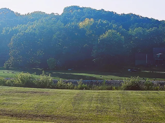 a view of a lake with a mountain in the background