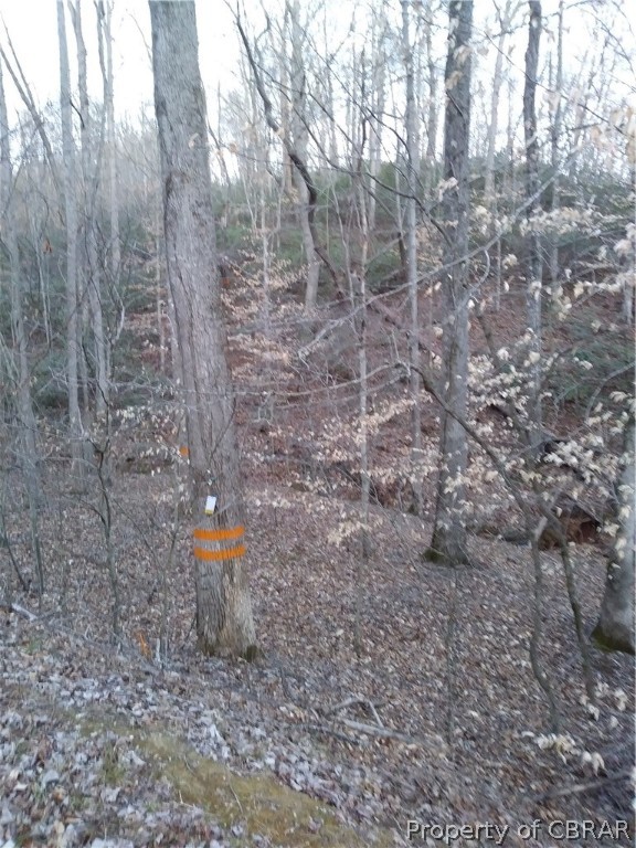 5780 James River Road Gladstone, VA 24553 - Photo 4 of 5