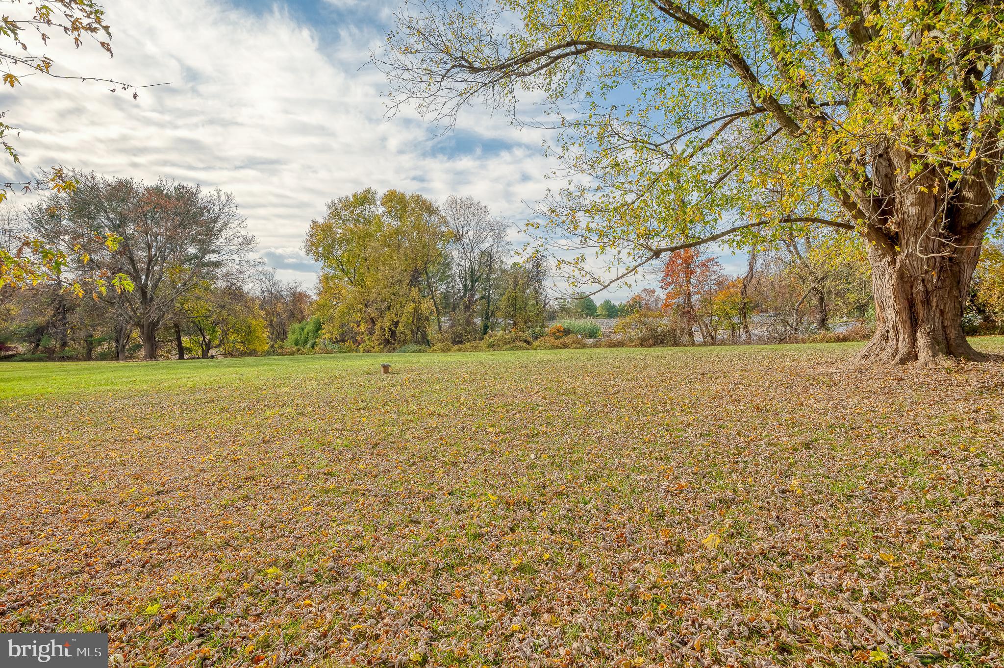 2602 Greene Lane Fallston, MD 21047 - Photo 3 of 42 View from back of home