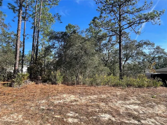 a view of outdoor space with trees