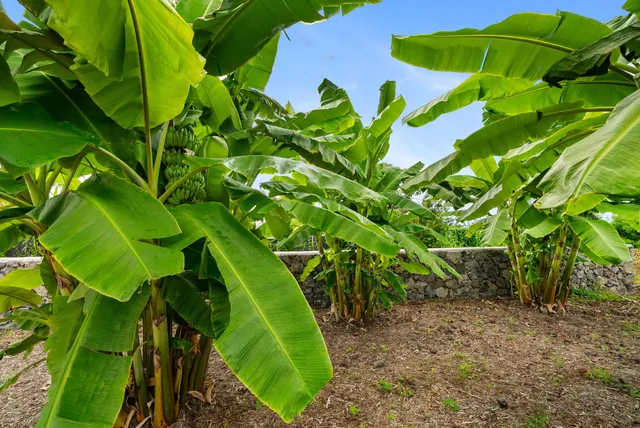 $3,600,000 | 73-4460 Kohanaiki Road, Kailua-Kona, HI 96740